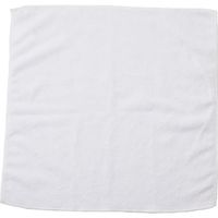 エー・エム・プロダクツ カーライル マイクロファイバークロス ホワイト 3633402 1個 869-0614（直送品）