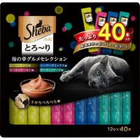 マースジャパン シーバ　とろーり　メルティ　海の幸グルメセレクション１２ｇ×４０ 4902397859789 1セット（6個入り）（直送品）