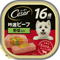 マースジャパン シーザー　トレイ　１６歳からの　吟選ビーフ　野菜入り１００ｇ 4902397862734 1セット（48個入り）（直送品）