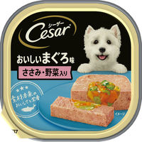 マースジャパン シーザー　トレイ　おいしいまぐろ　ささみ・野菜入り１００ｇ 4902397835783 1セット（48個入り）（直送品）