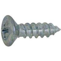 SUNCO クローム (+)A丸サラ 3×30 (100本入) 20-00-0002-0030-0300-06-100P（直送品）