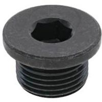 SUNCO GOSHOプラグ (ツバ付き GPF 3/8 (2本入) A0-00-5850-8030-0000-00-2 1パック(2本)（直送品）