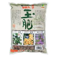 ＪＯＹアグリス マルタ　玉肥　大粒　３ｋｇ 239768 1個（直送品）