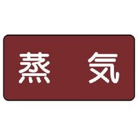 ユニット 配管ステッカー 蒸気(中) アルミ 60×120 10枚組 AS.2M 1組(10枚) 745-9548（直送品）