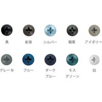 若井産業 WAKAI ステンレス ダンバゼロ 袋入 シルバー 4X10 6910SSF 1セット(500本:100本×5袋)（直送品）