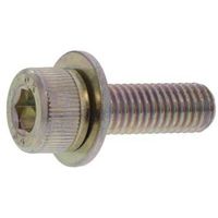 SUNCO 10.9CAP P=1 岡井鉄工所製 6 X 16 (40本入) A0-00-901J-0060-0160-00-40（直送品）