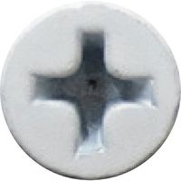 若井産業 WAKAI ステンレス 軽天タッピング フレキ カラー 3.5X22 (1000本入) 713122F 1箱(1000本)（直送品）