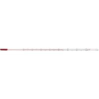 東京硝子器械 TGK 赤液精密棒状温度計 0~100°C L300 614-53-06-13 1本 183-7521（直送品）