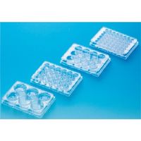 東京硝子器械 TGK マルチウェルプレート 12ウェル1 50包 725-28-03-13 1箱(50個) 184-2611（直送品）