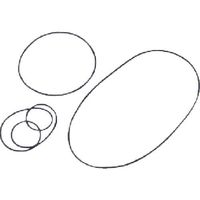 東京硝子器械 TGK デシケーター用Oリング250φ #557 198-19-45-43 1個 190-0594（直送品）