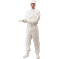 東京硝子器械 TGK クリーンウェア セオα PZF1410 L 白 285-25-01-43 1着 190-8668（直送品）