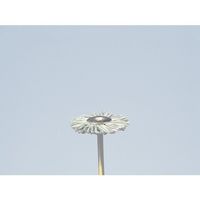 柳瀬 ヤナセ 精密ホイールブラシ 砥粒入りユニロン 25x7x3x40 #500 B25HK 1セット(10個) 812-3559（直送品）