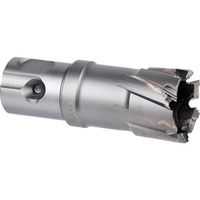 ミヤナガ 磁気ボール盤カッター デルタゴンメタルボーラー250A φ20.5 DLMB25A205 1本 246-1667（直送品）