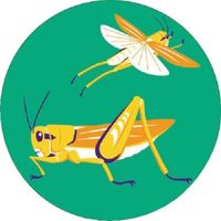 つくし工房 つくし たのし~る[こんちゅう2] ばった KS-134 1枚 184-8005（直送品）