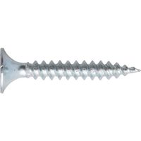 若井産業 WAKAI 軽天一発ビス ラッパ 3.0X22 (1000本入) 713022L 1箱(1000本) 386-1507（直送品）