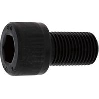 SUNCO ステンCAP(六角穴付きボルト)(細目 ピッチ 1.0 12 X 45 (2本入) A0-02-0005-0120-0450-00-2（直送品）