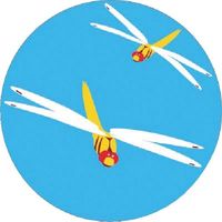 つくし工房 つくし たのし~る[こんちゅう1] あかとんぼ KS-24 1枚 184-9647（直送品）