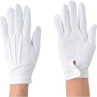 川西工業 川西 ナイロンセーム 1P 2747 1セット(10双) 124-1682（直送品）