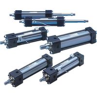 TAIYO 油圧シリンダ 160H-11LA50BB300-AB-TK 1個 841-5124（直送品）