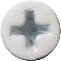 若井産業 WAKAI 軽天タッピング ラッパ カラー 3.5X22 (1000本入) 715022W 1箱(1000本) 386-3117（直送品）