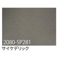 X[G Wp 3M bvtB 2080-SP281 TCPfbN 1524mm×22.8m 168893 1{iij