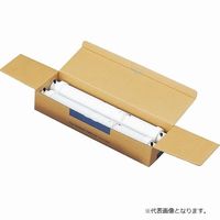 アドバンテック東洋 イオン交換樹脂カートリッジRF000131(2本入)(消耗品) RF000131 1箱(2本)（直送品） - アスクル