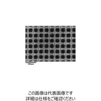 Nylon net filter disc Hydrophilic 30μm 47mm 100/Pk NY3004700 100PK（直送品）