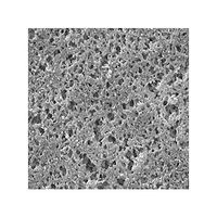 Nylon disc Hydrophilic