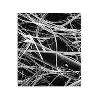 メルク Glass fiber disc w/binder AP15 142mm 50/Pk AP1514250 50PK 1個(50個)（直送品）