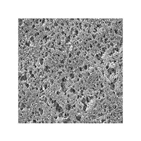 Nylon disc Hydrophilic 0.45μm 47mm wh pln 100/Pk HNWP04700 100PK（直送品）