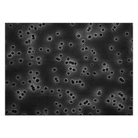 Isopore disc PC philic 5.0μm 47mm wh pln 100/Pk TMTP04700 100PK（直送品）