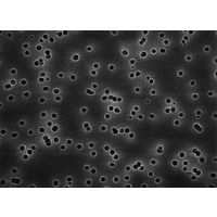 Isopore disc PC philic 0.4μm 47mm blk pln 100/Pk HTBP04700 100PK（直送品）