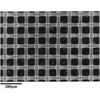 Nylon net filter disc Hydrophilic 10μm 90mm 50/Pk NY1009000 50PK（直送品）