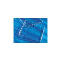 スクエアディッシュ