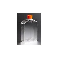 コーニングインターナショナル CellBIND(R)フラスコ175cm2アングルネック ベントキャップ付 3292 1ケース(50個)（直送品）