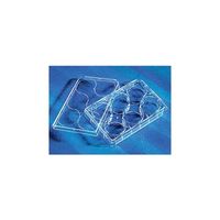 コーニングインターナショナル マルチプルウェルプレート6ウェル無処理平底フタ付(5枚/包) 3736 1ケース(100個)（直送品）