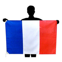 東京製旗 フランス国旗トリコロール（70×105cm）日本製 416907（直送品）