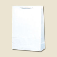 【ケース販売】HEIKO 紙袋 T型チャームバッグ 大判 白無地 003182100 1ケース(50枚入×4袋 合計200枚)（直送品）