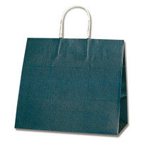 【ケース販売】HEIKO 紙袋 25チャームバッグ 32-4 藍 003268103 1ケース(50枚入×4袋 合計200枚)（直送品）