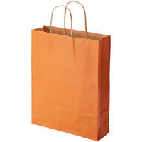 【ケース販売】HEIKO 紙袋 25チャームバッグ MS1 未晒 オレンジC 003276808 1ケース(50枚入×4袋)（直送品）