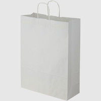 【ケース販売】HEIKO 紙袋 25チャームバッグ カスタム判 晒白無地 003280411 1ケース(50枚×4袋 計200枚)（直送品）