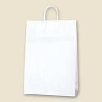 【ケース販売】HEIKO 紙袋 25チャームバッグ STD(スタンダード) 晒白無地 003287000 1ケース(50枚×4袋)（直送品）