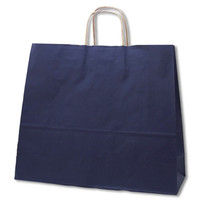 【ケース販売】HEIKO 紙袋 25チャームバッグ 45-1 未晒 ネイビーNC 003296210 1ケース(50枚入×4袋)（直送品）