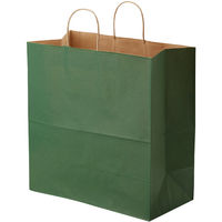 【ケース販売】HEIKO 紙袋 25チャームバッグ 45-1 未晒 グリーンC 003296300 1ケース(50枚入×4袋)（直送品）