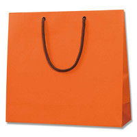 【ケース販売】HEIKO 紙袋 ブライトバッグ GM Dオレンジ(MT) 006137960 1ケース(10枚×15 計150枚)（直送品）