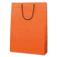 【ケース販売】HEIKO 紙袋 ブライトバッグ G2 Dオレンジ(MT) 006138059 1ケース(10枚×15 計150枚)（直送品）