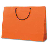 【ケース販売】HEIKO 紙袋 ブライトバッグ Y2 Dオレンジ(MT) 006138108 1ケース(10枚×15 計150枚)（直送品）