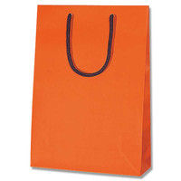 【ケース販売】HEIKO 紙袋 ブライトバッグ SWT Dオレンジ(MT) 006138260 1ケース(10枚入×30袋)（直送品）