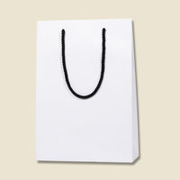 【ケース販売】HEIKO 紙袋 ブライトバッグ SWT 白(MT) 006138274 1ケース(10枚入×30袋 合計300枚)（直送品）