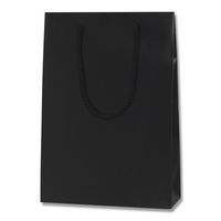 【ケース販売】HEIKO 紙袋 ブライトバッグ SWT 黒(MT) 006138275 1ケース(10枚入×30袋 合計300枚)（直送品）